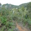 Venta de lote rural en Cali - Dapa- la sonora