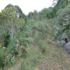 Venta de lote rural en Cali - Dapa- la sonora