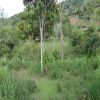 Venta de lote rural en Cali - Dapa- la sonora