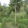 Venta de lote rural en Cali - Dapa- la sonora
