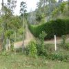 Venta de lote rural en Cali - Dapa- la sonora