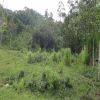 Venta de lote rural en Cali - Dapa- la sonora