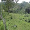 Venta de lote rural en Cali - Dapa- la sonora