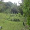 Venta de lote rural en Cali - Dapa- la sonora