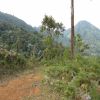 Venta de lote rural en Cali - Dapa- la sonora