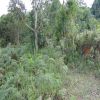 Venta de lote rural en Cali - Dapa- la sonora