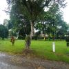 Venta de casa campestre en Cali - Lago calima