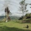 Venta de casa campestre en Cali - El carmen