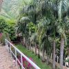 Venta de casa campestre en Cali - Vijes