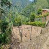 Venta de lote rural en Pasto - Buesaco - veracruz