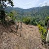 Venta de lote rural en Pasto - Buesaco - veracruz