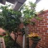 Venta de finca en Pasto - Chachagui el condado