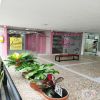 Arrendamiento de local en Pasto - Centro / centro comercial galerias