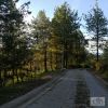Venta de lote rural en Municipio de nariÑo - NariÑo - bosques canta claro