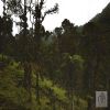 Venta de lote rural en Buesaco - Buesaco - san ignacio